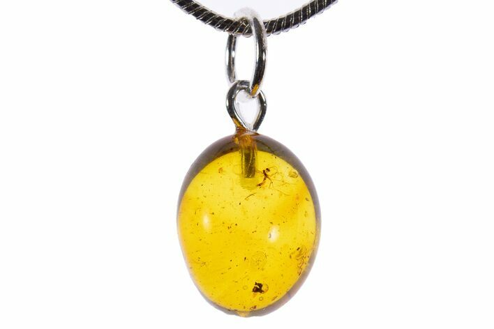 Polished Baltic Amber Pendant (Necklace) - Contains Fly! #339600